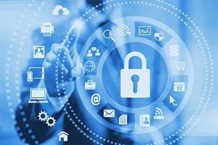 Are Employees the Weakest Link in Your Email Security Strategy?